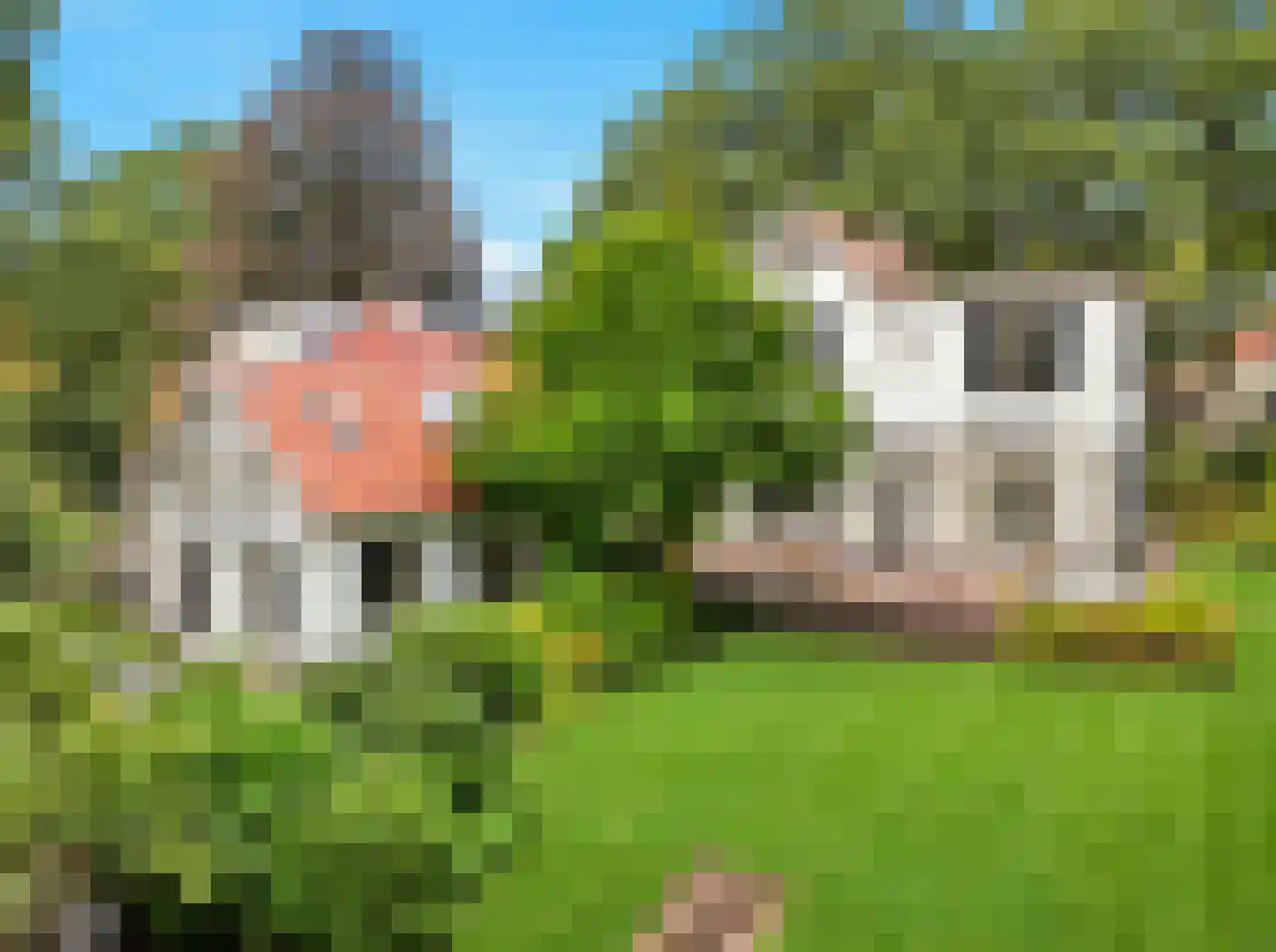 Rustoordlaan 21 Eefde thumbnail 79