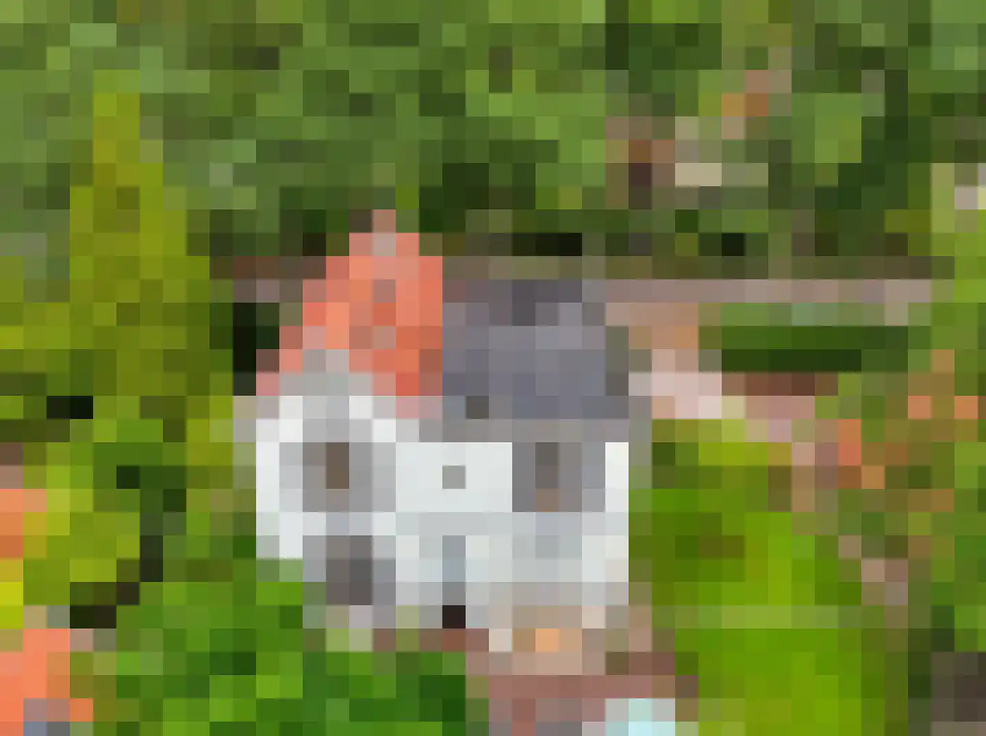 Rustoordlaan 21 Eefde thumbnail 81