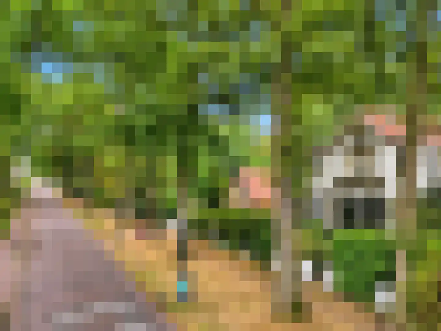 Rustoordlaan 21 Eefde thumbnail 87