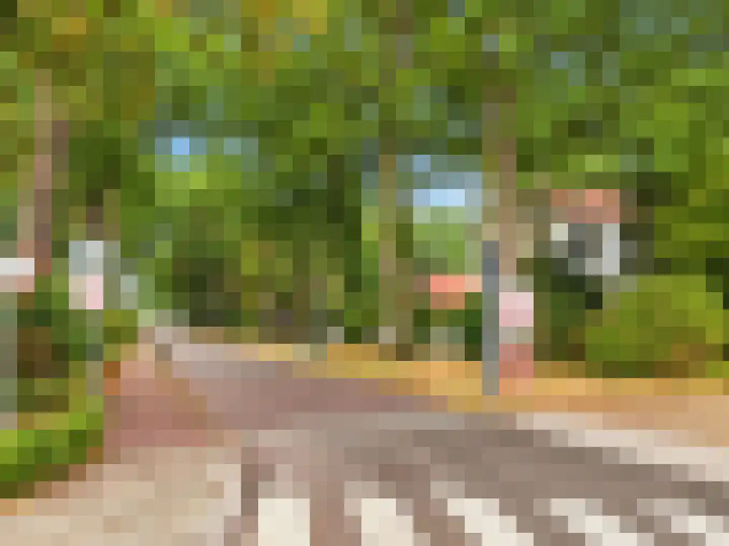 Rustoordlaan 21 Eefde thumbnail 89