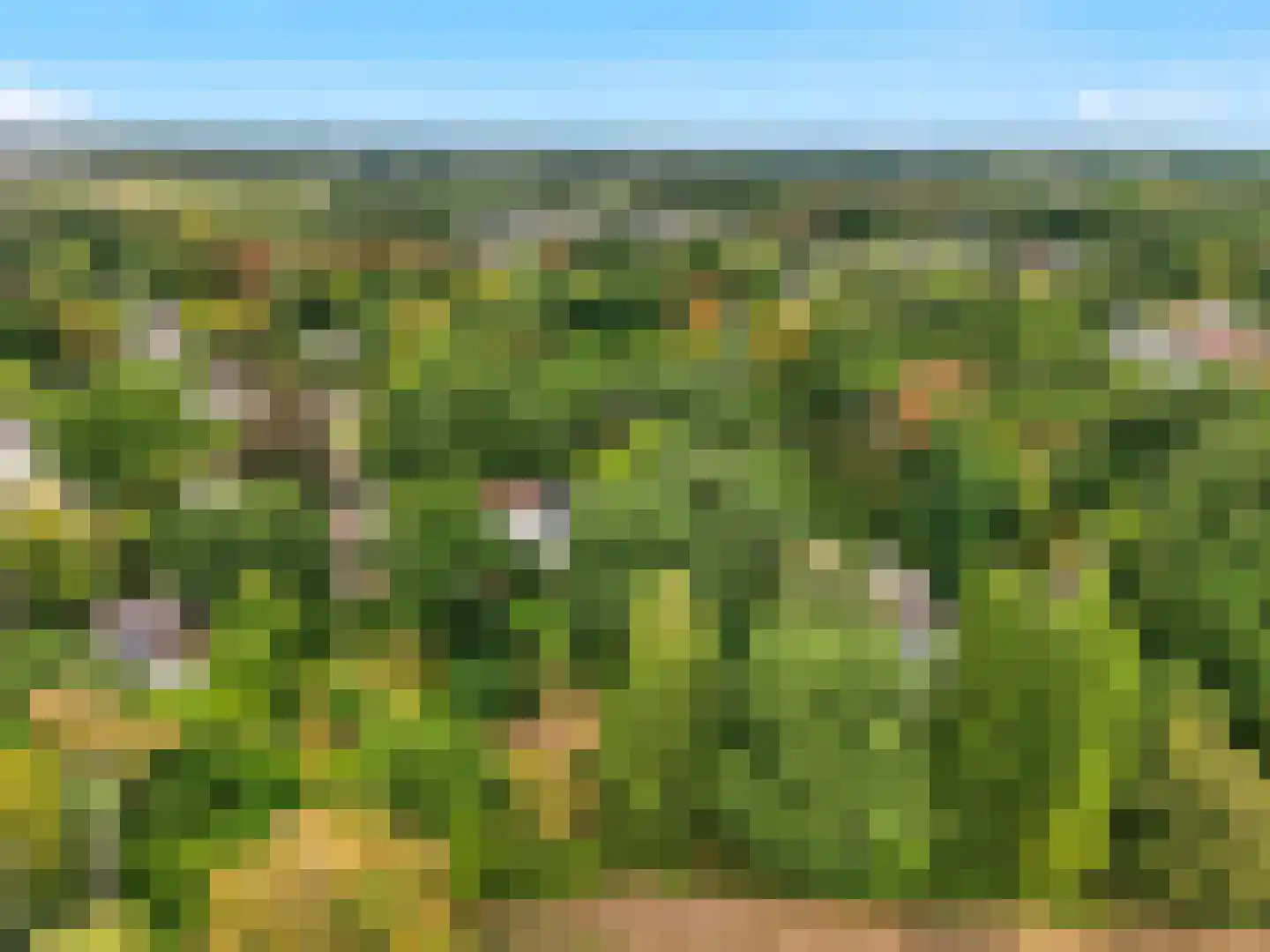 Rustoordlaan 21 Eefde thumbnail 91