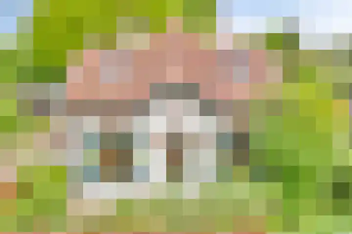 Rustoordlaan 38 Eefde