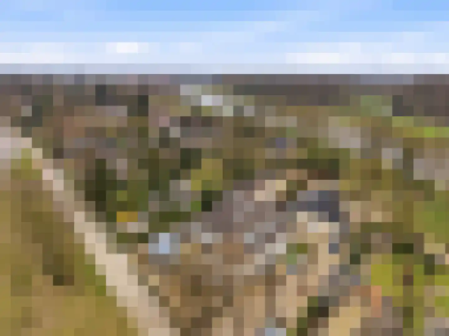 Rustoordlaan 45 b Eefde thumbnail 27