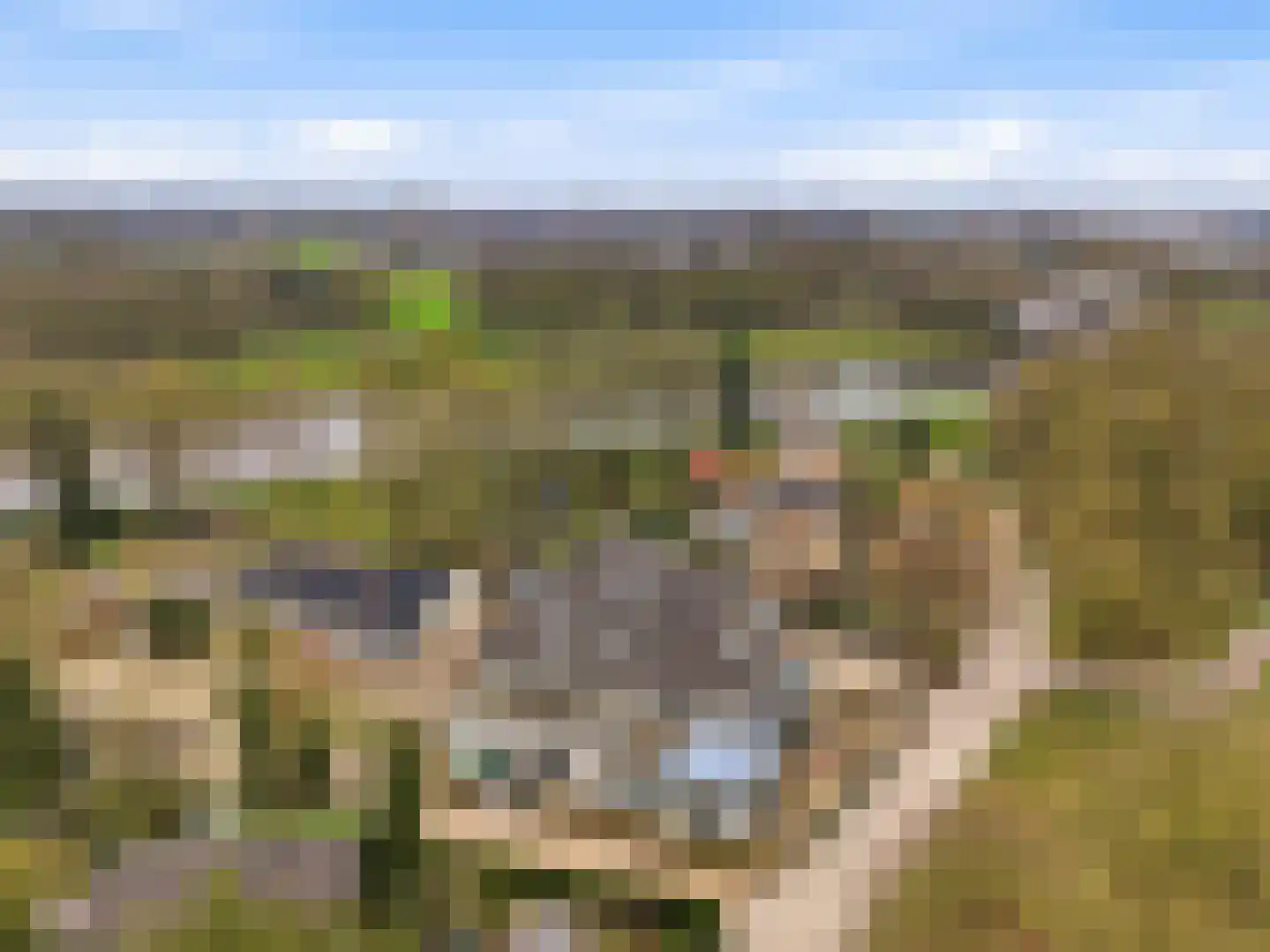 Rustoordlaan 45 b Eefde thumbnail 29