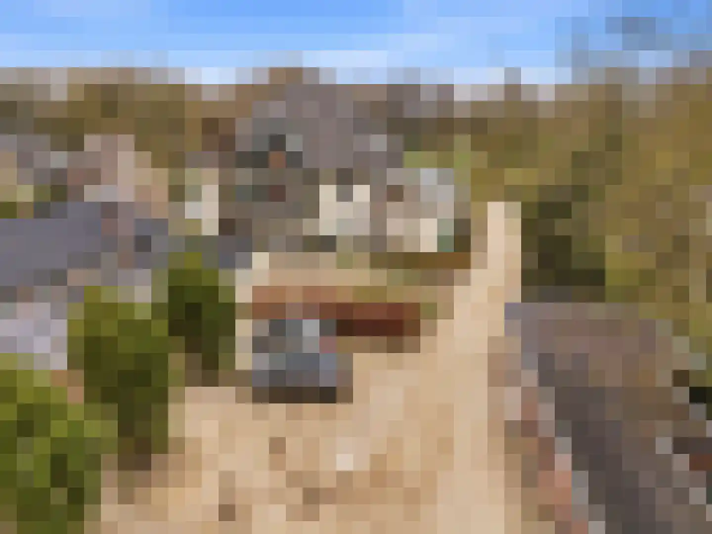 Rustoordlaan 45 b Eefde thumbnail 32