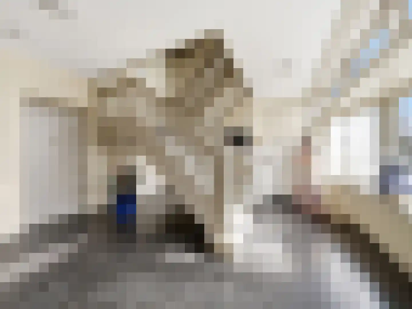 Rustoordlaan 45 b Eefde thumbnail 4