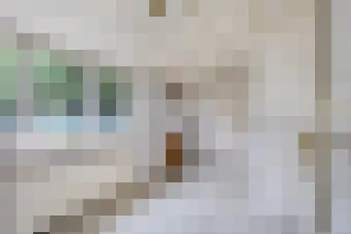 Rustvenseweg 10 Reek thumbnail 10