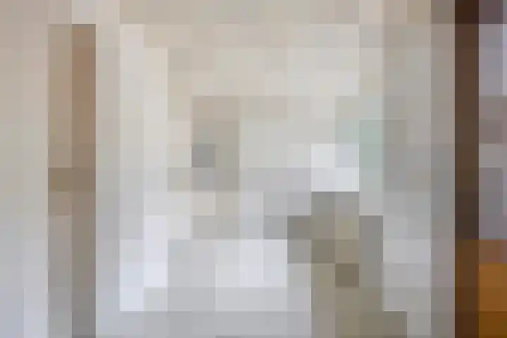 Rustvenseweg 10 Reek thumbnail 11