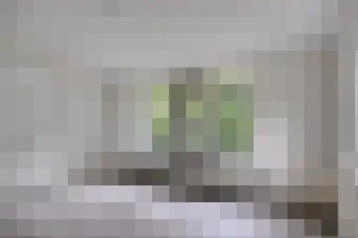 Rustvenseweg 10 Reek thumbnail 17
