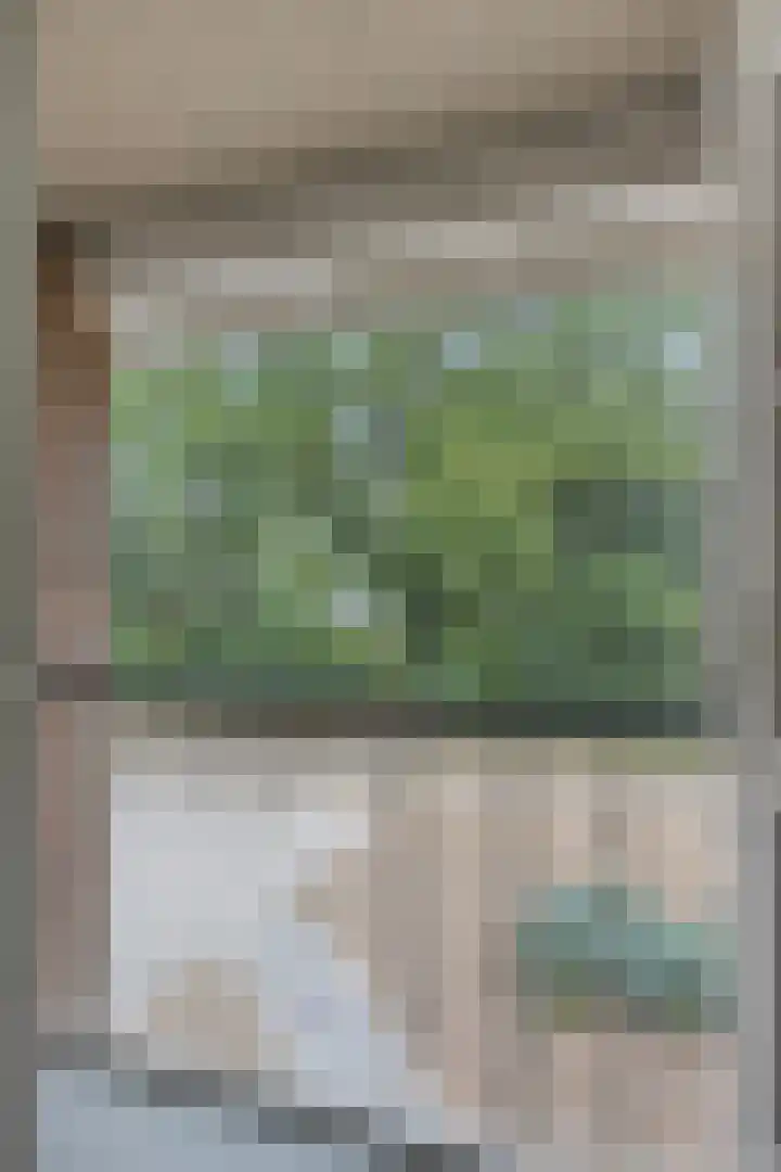 Rustvenseweg 10 Reek thumbnail 22