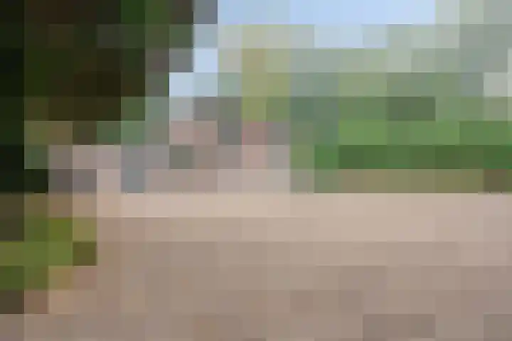 Rustvenseweg 10 Reek thumbnail 29