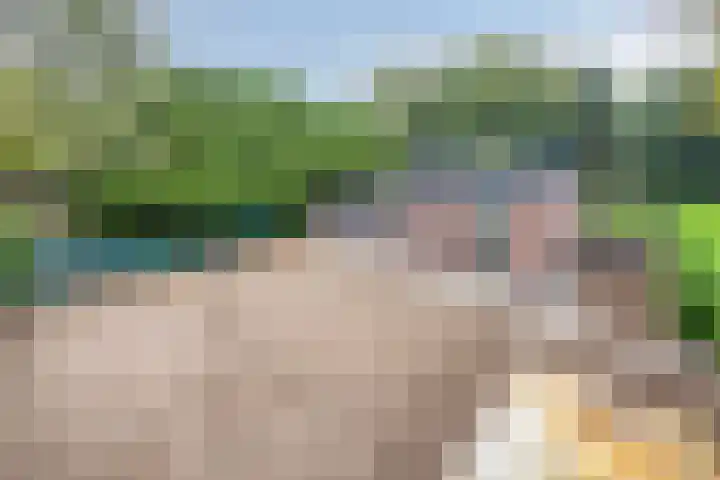 Rustvenseweg 10 Reek thumbnail 30