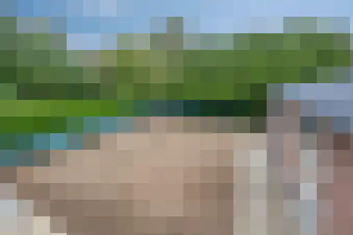 Rustvenseweg 10 Reek thumbnail 33