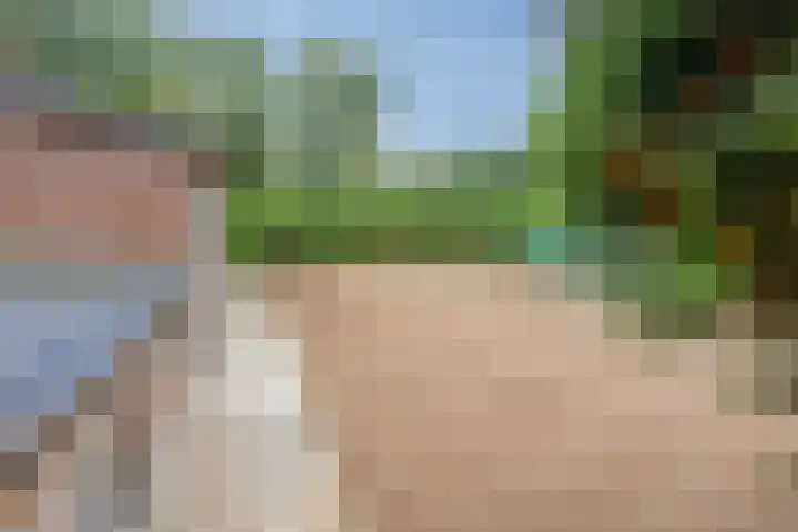 Rustvenseweg 10 Reek thumbnail 34