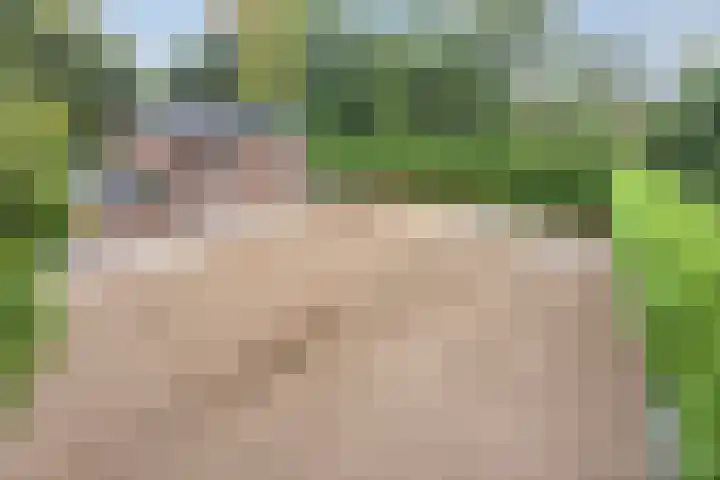 Rustvenseweg 10 Reek thumbnail 44