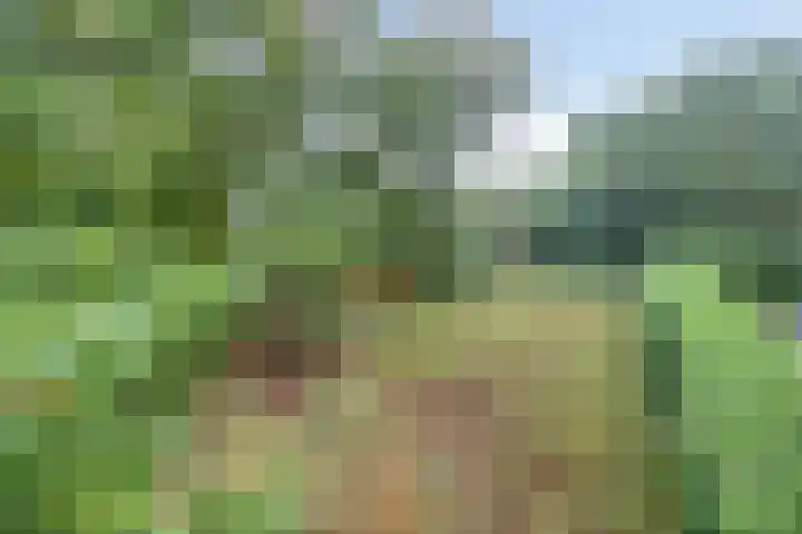 Rustvenseweg 10 Reek thumbnail 46