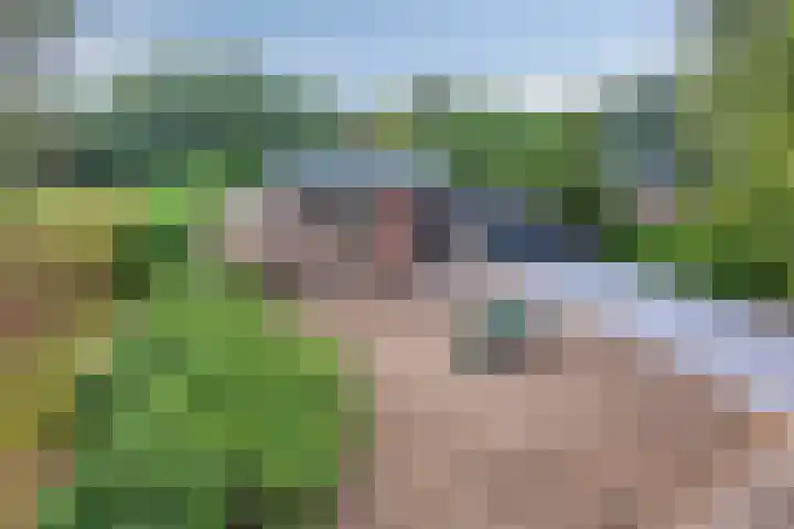 Rustvenseweg 10 Reek thumbnail 53
