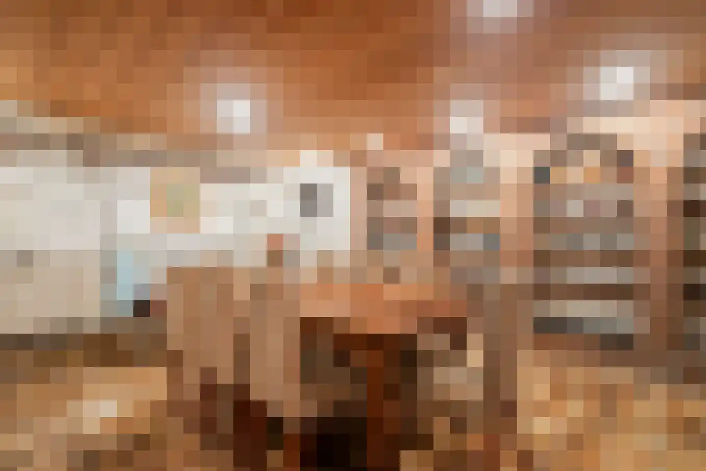 Rustvenseweg 16 Reek thumbnail 28