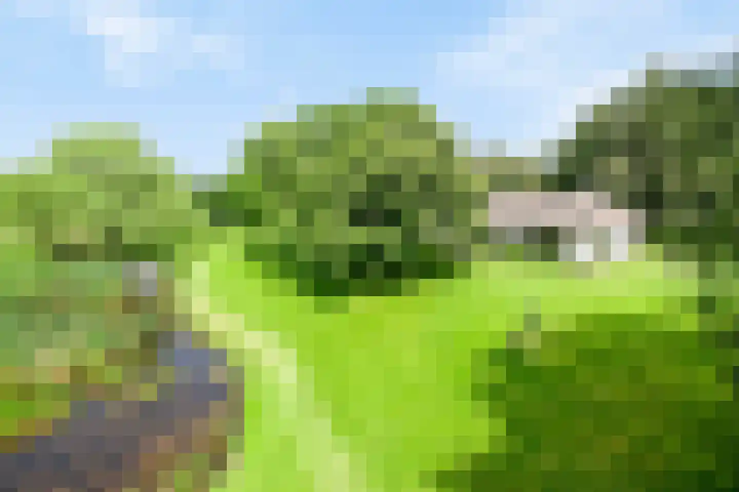 Rustvenseweg 16 Reek thumbnail 41