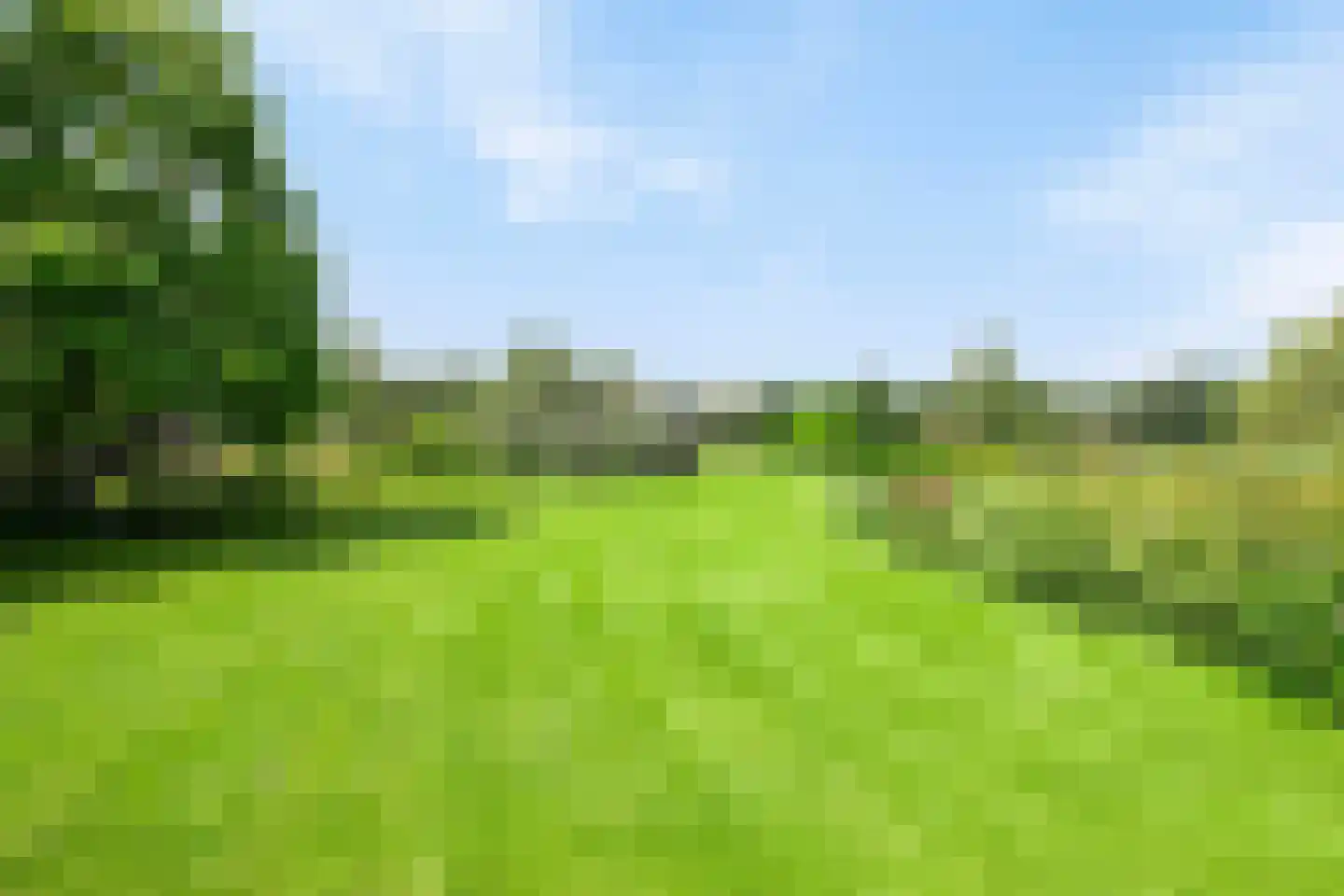 Rustvenseweg 16 Reek thumbnail 46