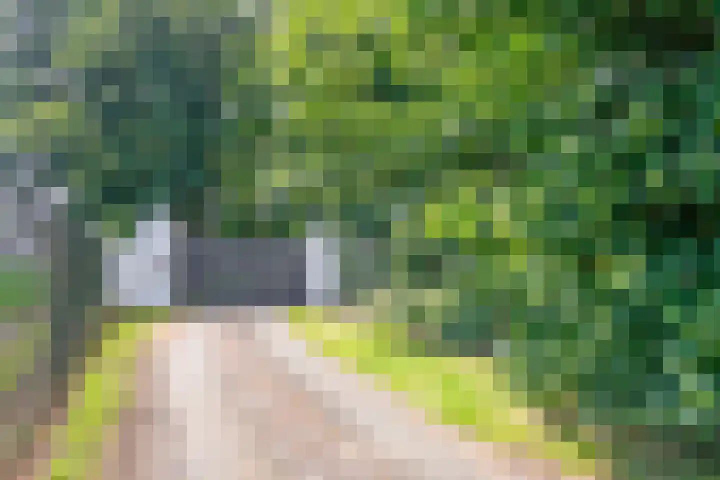 Rustvenseweg 16 Reek thumbnail 5