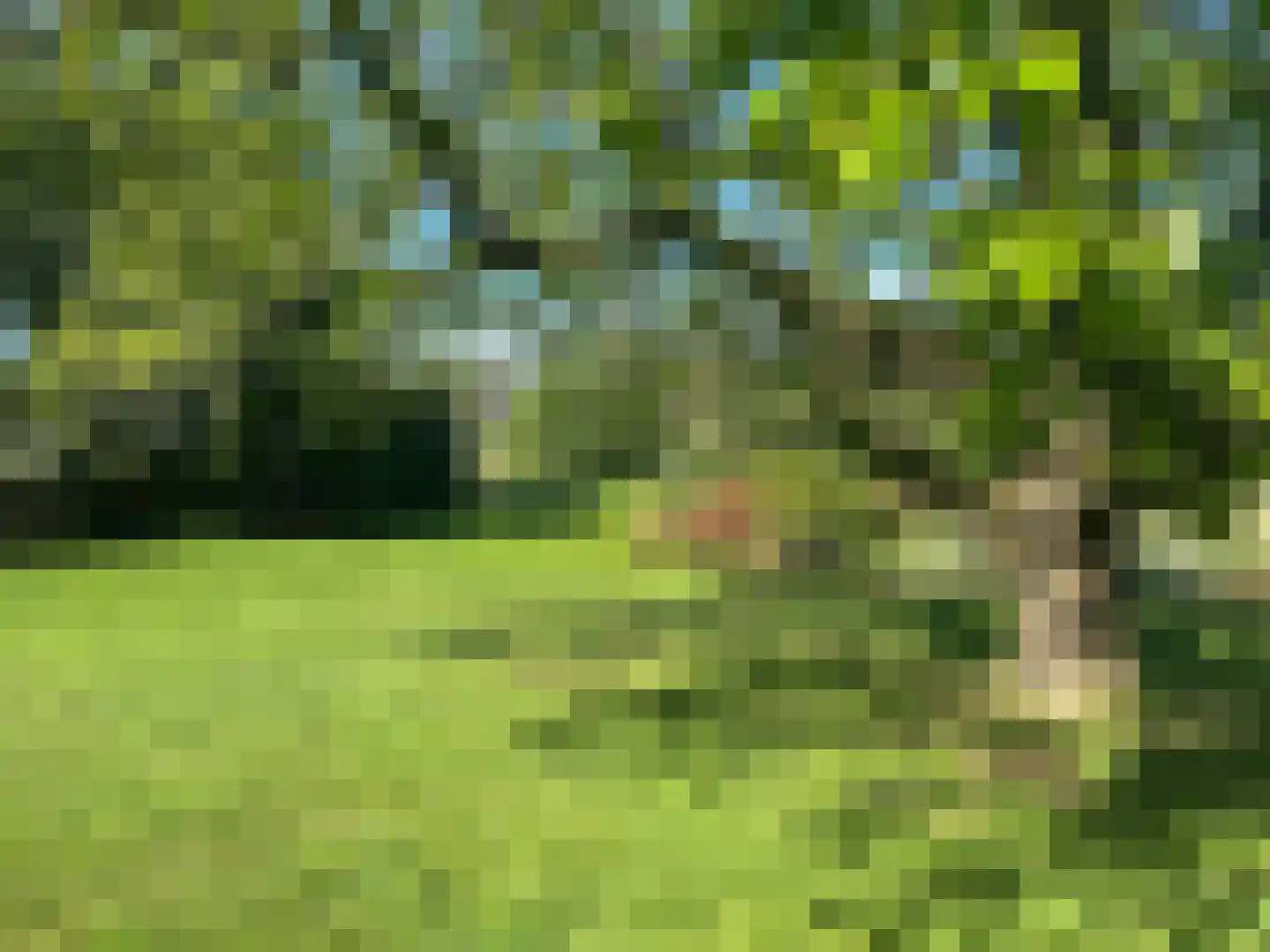Rustvenseweg 16 Reek thumbnail 50