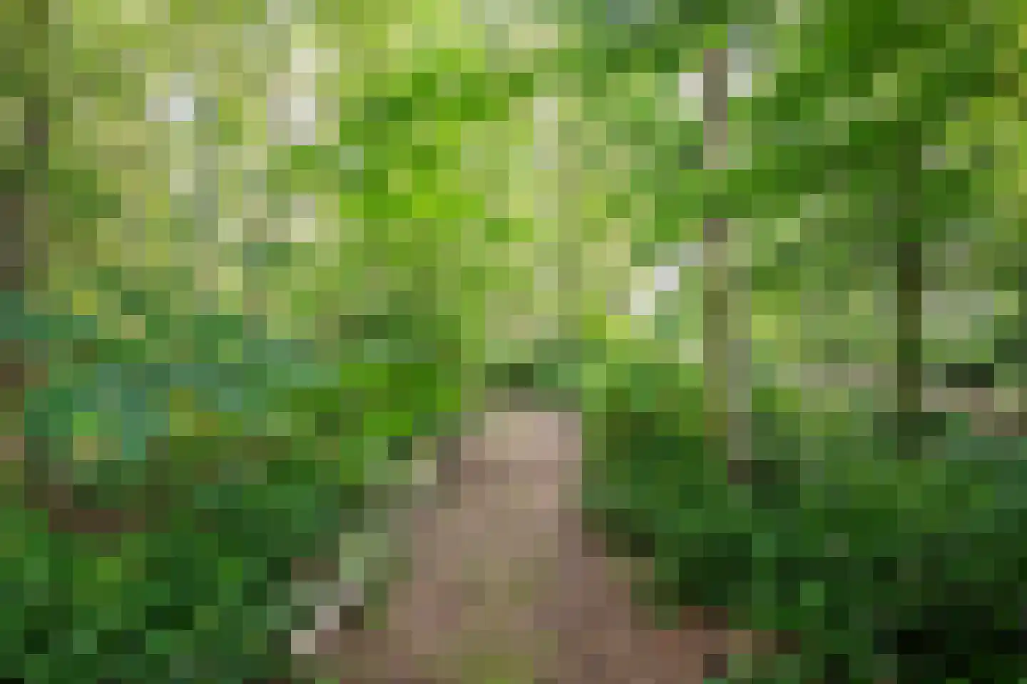 Rustvenseweg 16 Reek thumbnail 55