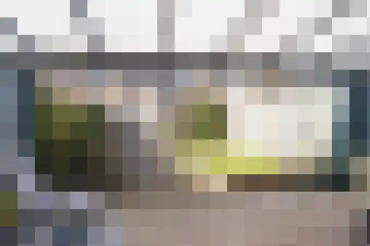 Rustvenseweg 16 Reek thumbnail 56