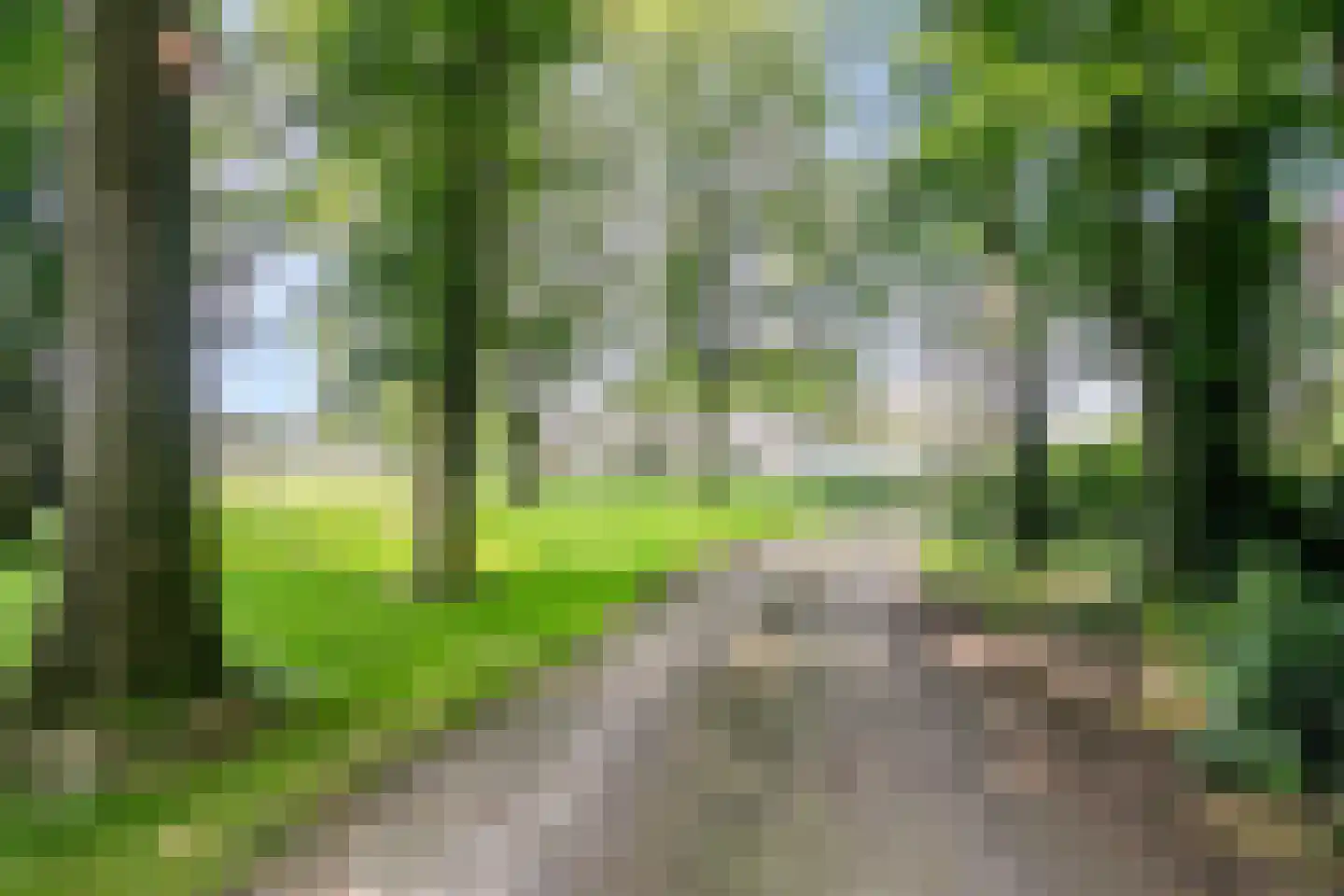 Rustvenseweg 16 Reek thumbnail 7