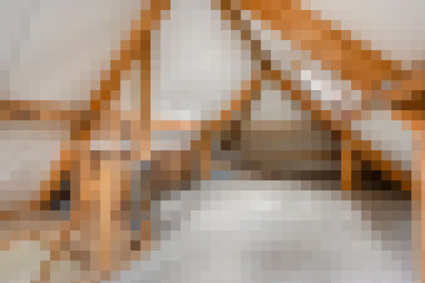 Rustvenseweg 5 Reek thumbnail 32