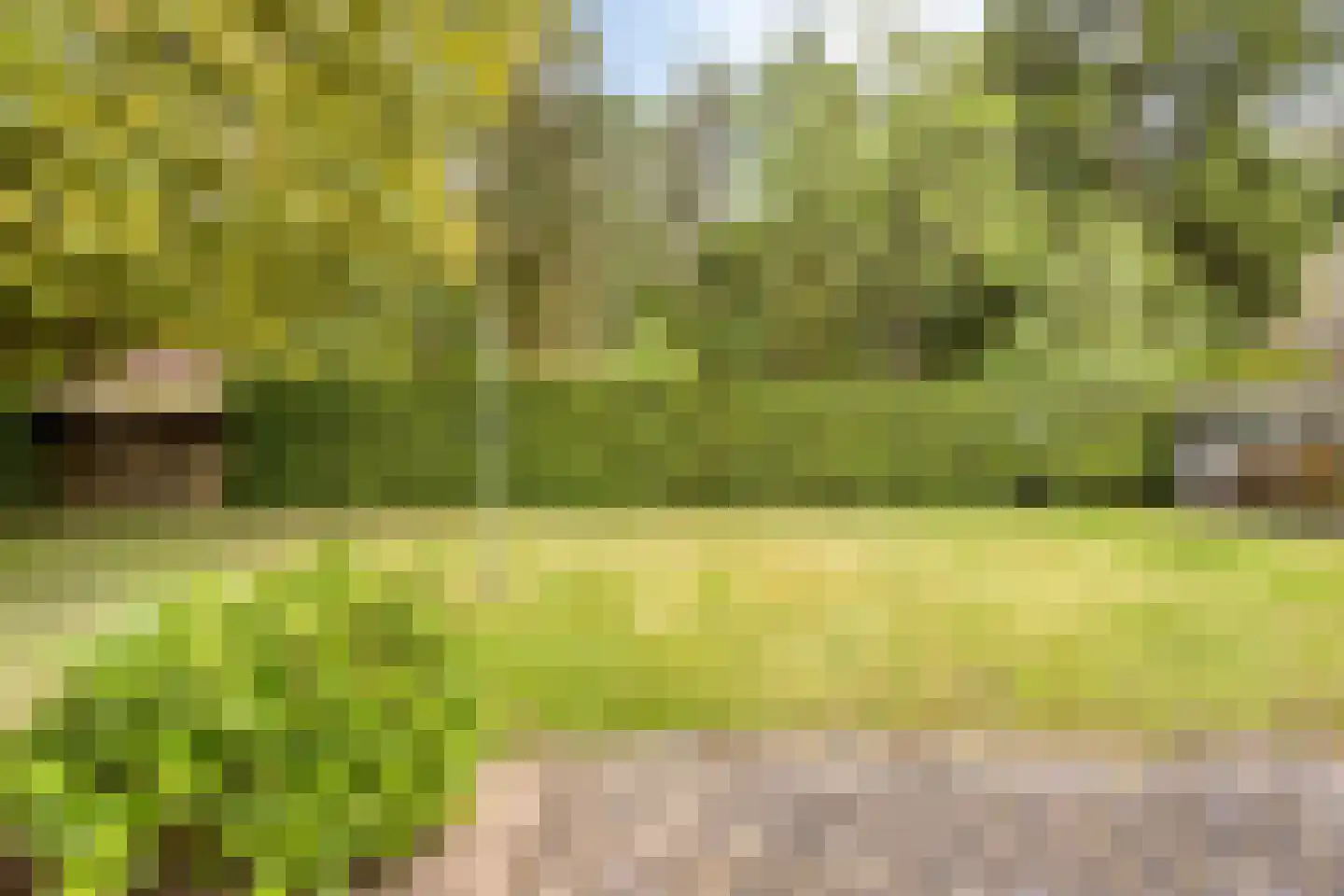 Rustvenseweg 5 Reek thumbnail 36
