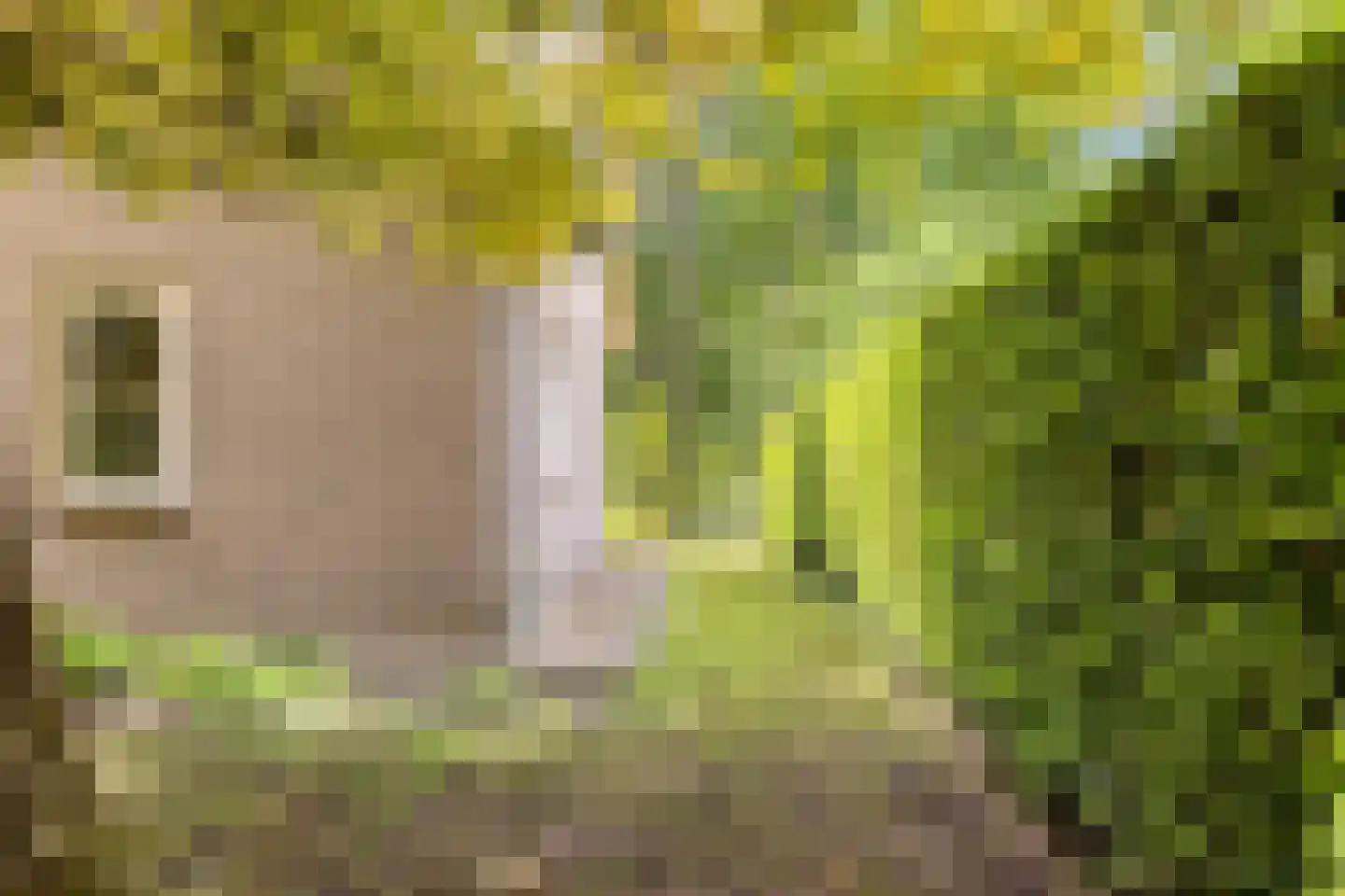 Rustvenseweg 5 Reek thumbnail 39