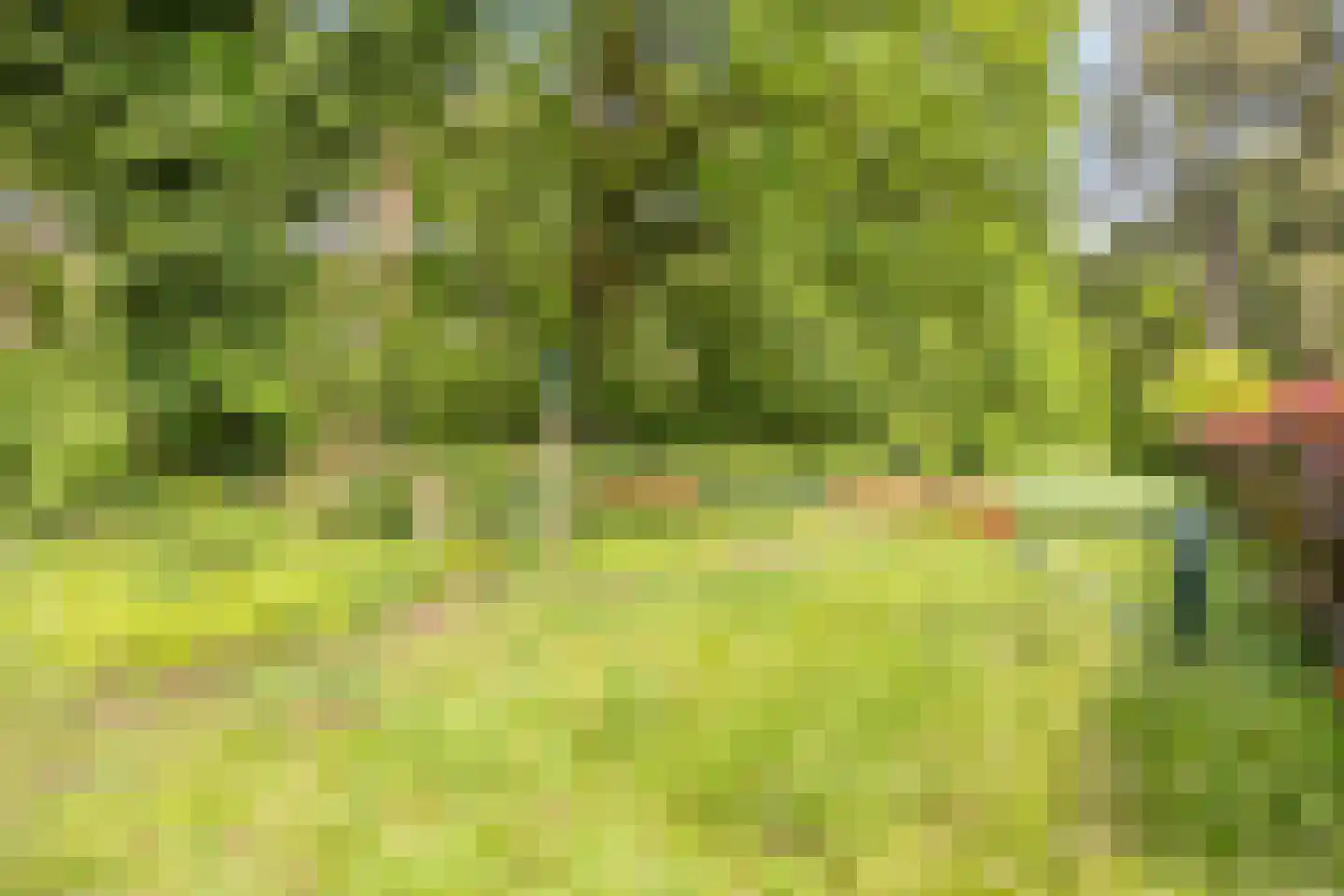 Rustvenseweg 5 Reek thumbnail 41