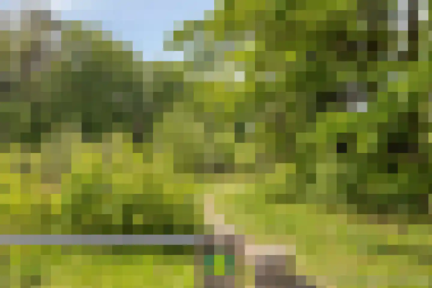 Rustvenseweg 5 Reek thumbnail 42