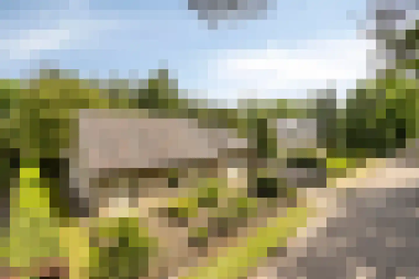 Rustvenseweg 5 Reek thumbnail 9