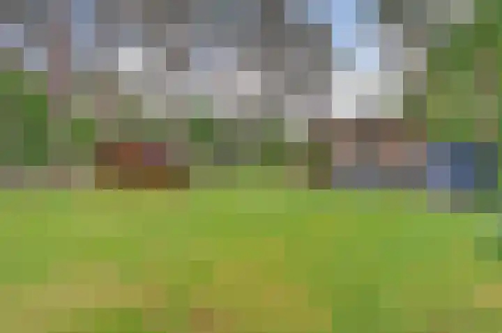 Rutbeekweg 30 Enschede thumbnail 20