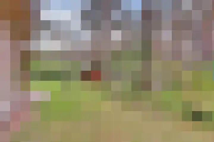 Rutbeekweg 30 Enschede thumbnail 21