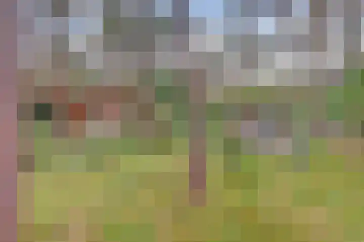 Rutbeekweg 30 Enschede thumbnail 22