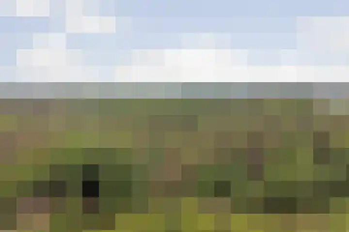 Rutbeekweg 30 Enschede thumbnail 25