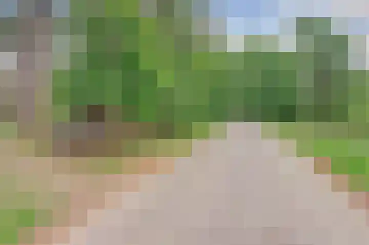 Rutbeekweg 30 Enschede thumbnail 4