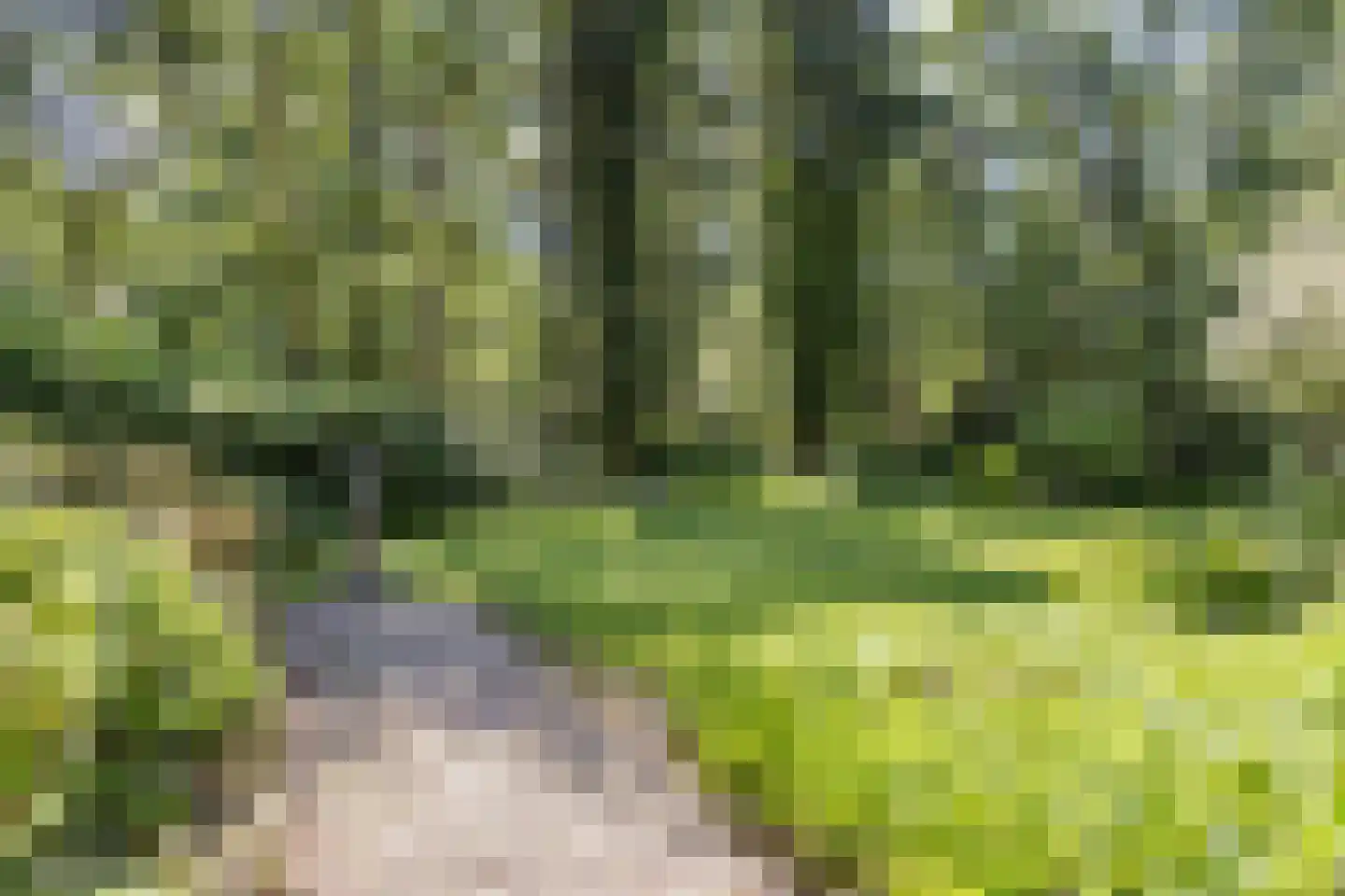 Rutbeekweg 43 Enschede thumbnail 35