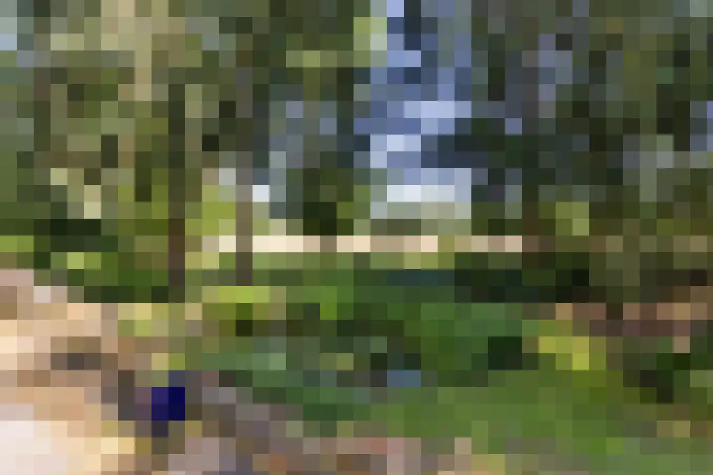 Rutbeekweg 43 Enschede thumbnail 36