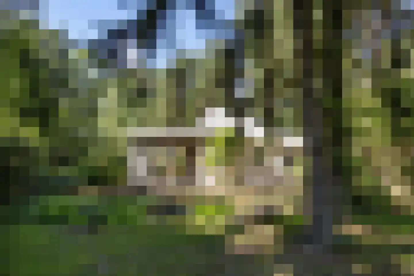 Rutbeekweg 43 Enschede thumbnail 37