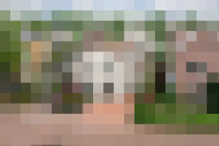 Rutenberg 17 en Raalte