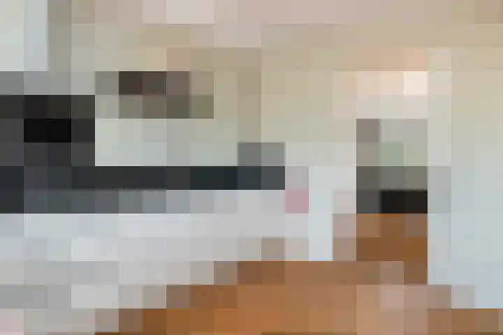 Rutenberg 38 Raalte thumbnail 13