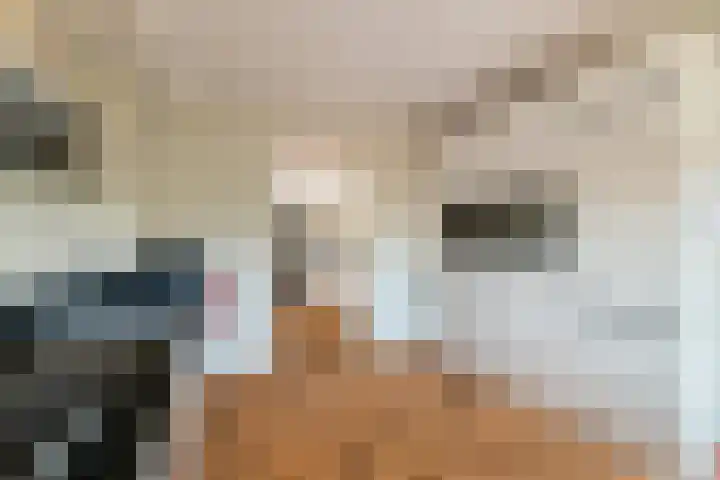 Rutenberg 38 Raalte thumbnail 14