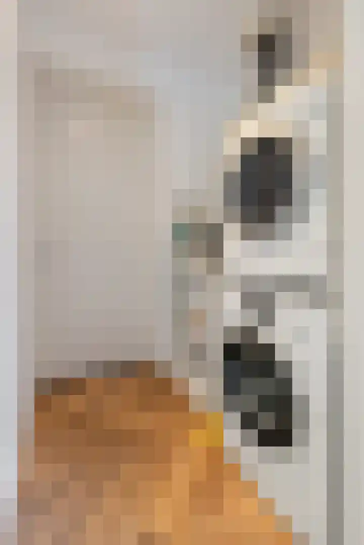 Rutenberg 38 Raalte thumbnail 17