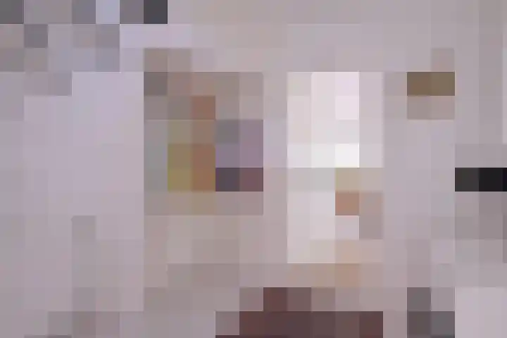 Rutenberg 38 Raalte thumbnail 26
