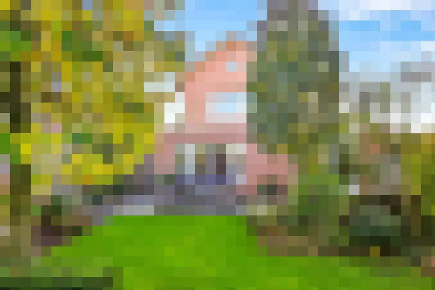 Rutenberg 38 Raalte foto 3