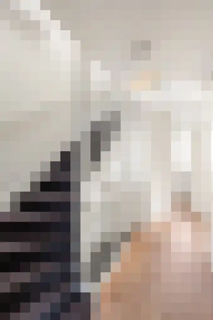 Rutenberg 38 Raalte thumbnail 32